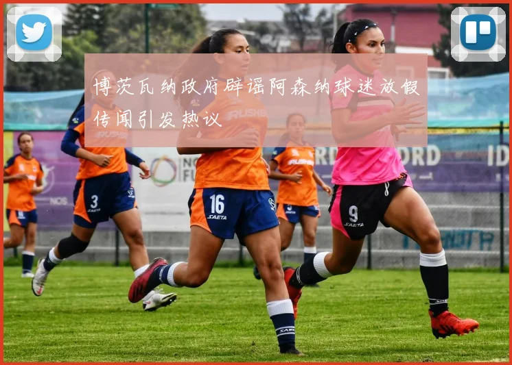 博茨瓦纳政府辟谣阿森纳球迷放假传闻引发热议